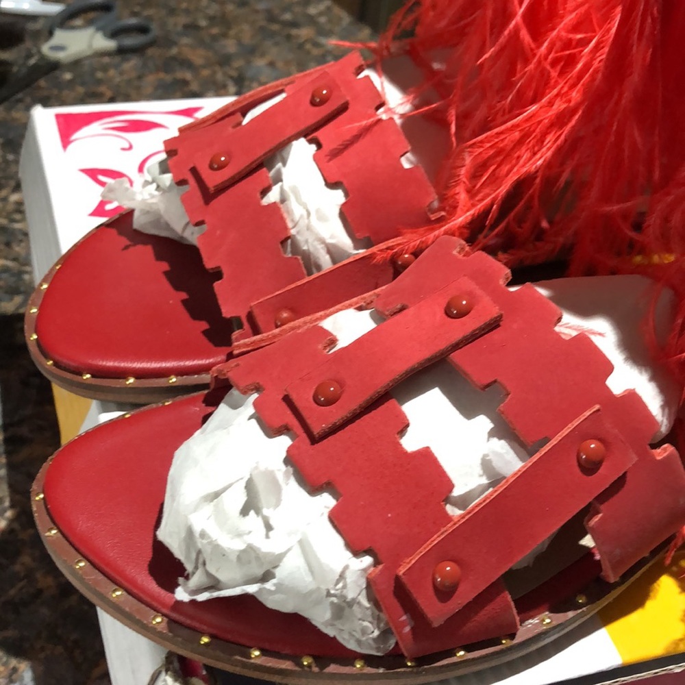 Gladiators - image 6